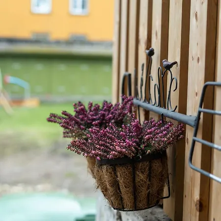 Garden Next To Telliskivi & Old Town *