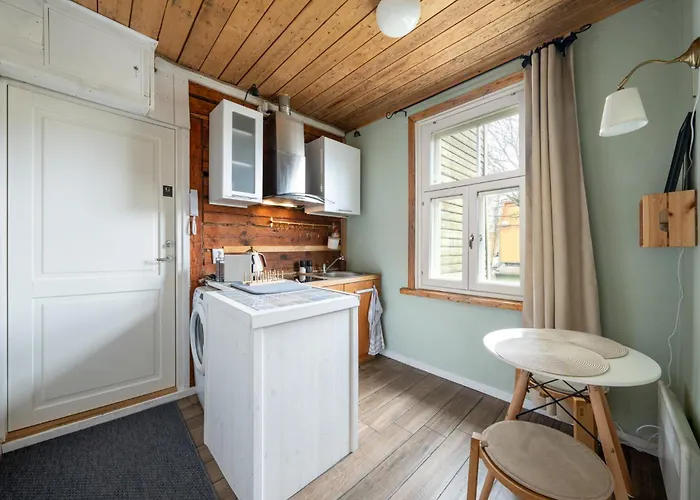 Garden Next To Telliskivi & Old Town Tallinn